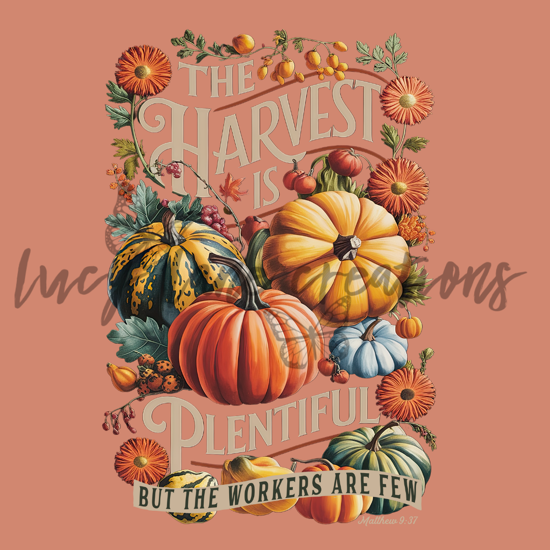 The Harvest is Plentiful